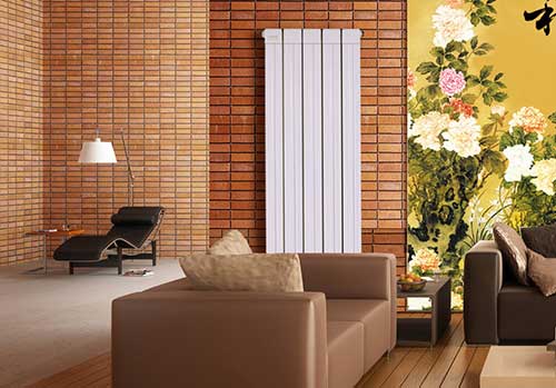 家用烧煤锅炉暖气片